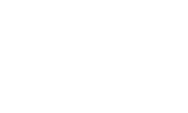 The Fretted Buffalo acoustic guitars